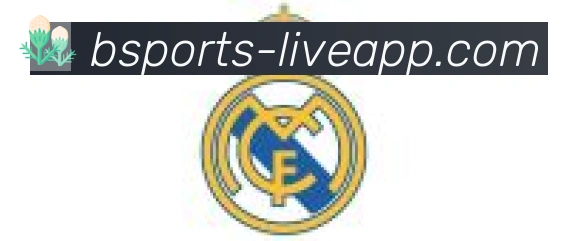 bsports体育合作伙伴