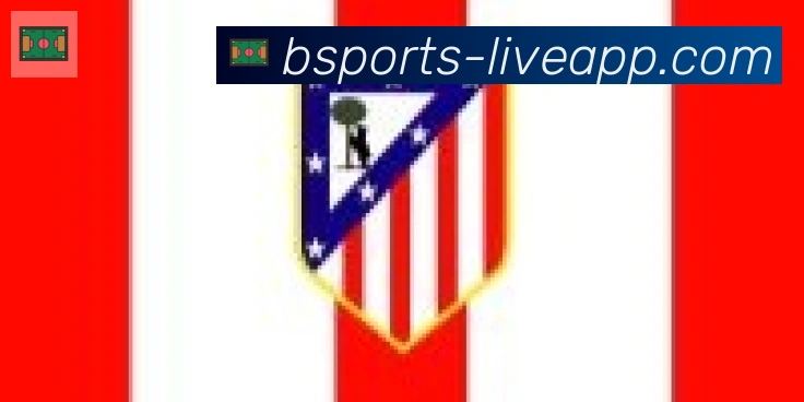 bsports体育合作伙伴